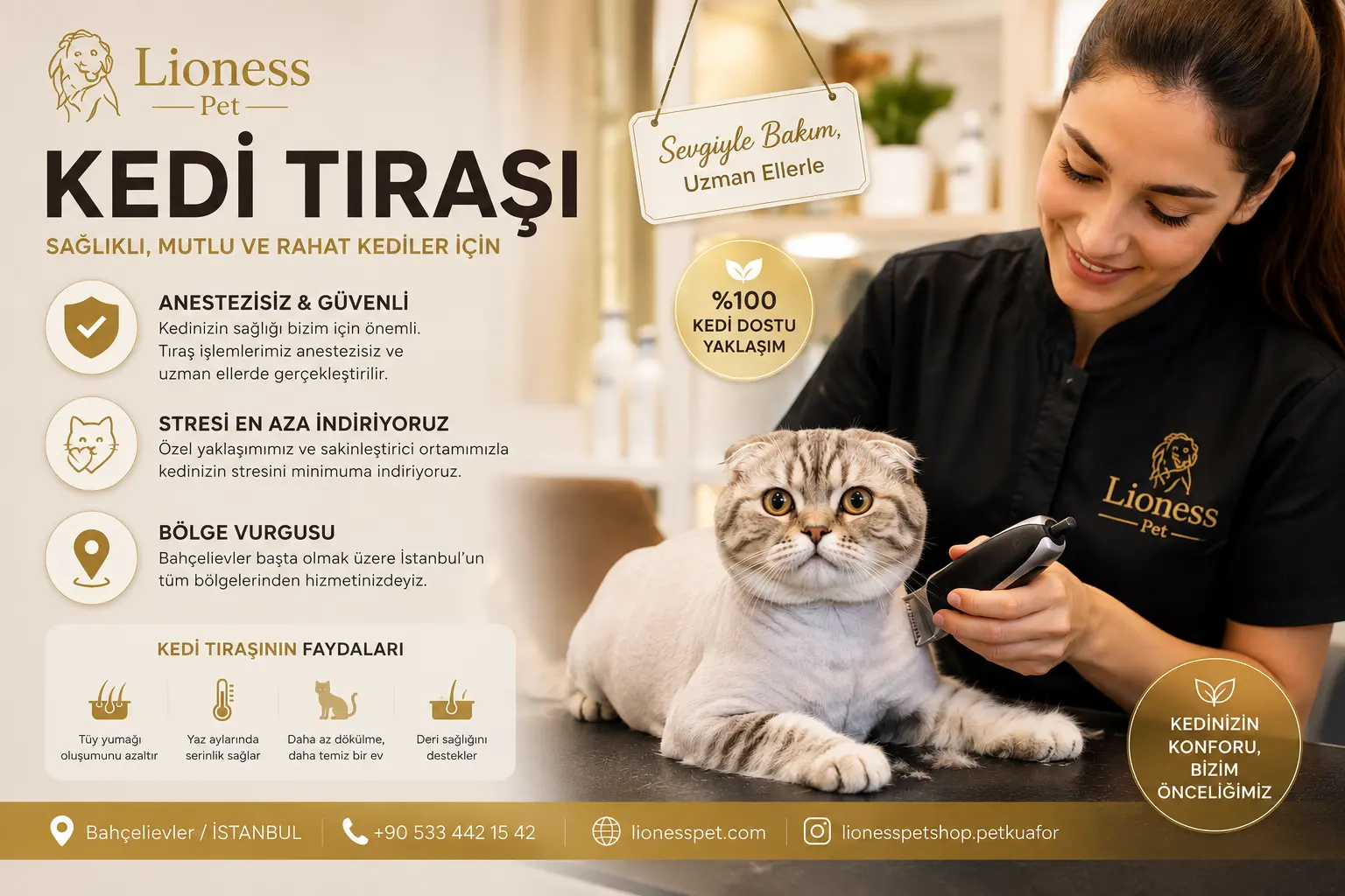 Profesyonel Anestezisiz Kedi Tıraşı
