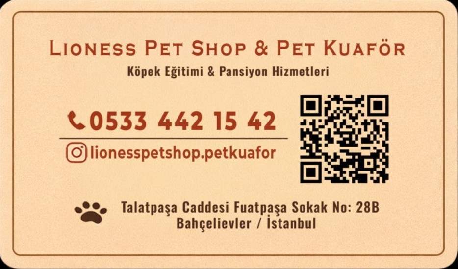 Pet Bakım