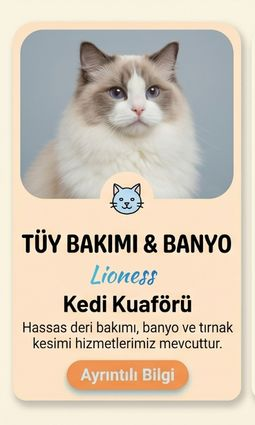 Pet Bakım
